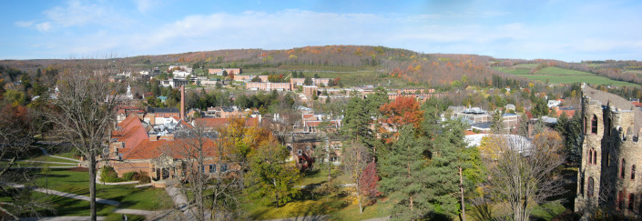 Alfred University